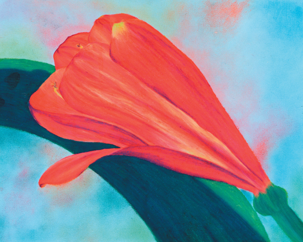 Artwork - View 12