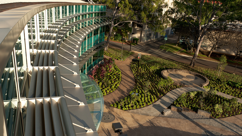 Center for Microbial Oceanography: Research & Education - View 2