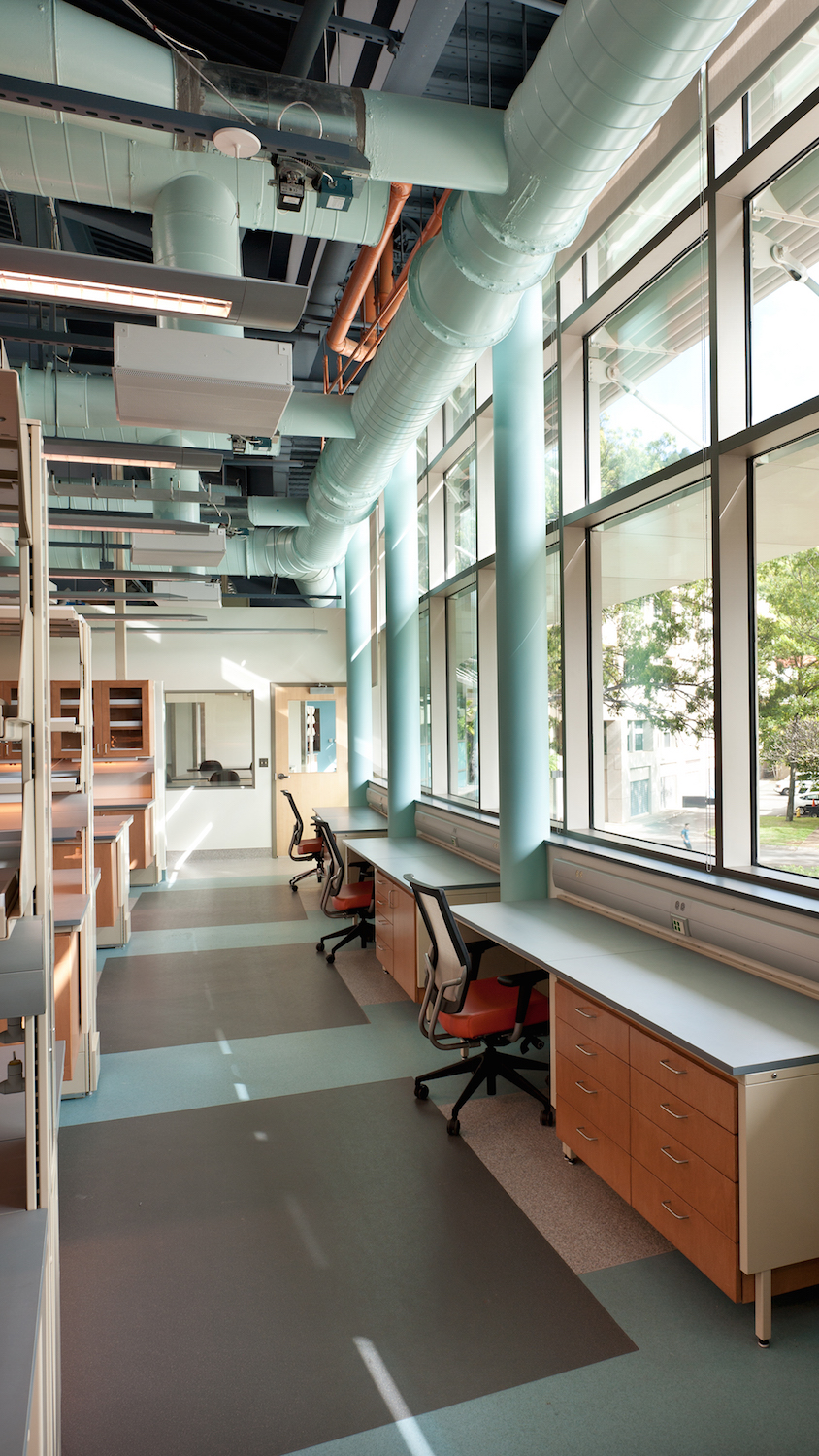 Center for Microbial Oceanography: Research & Education - View 3