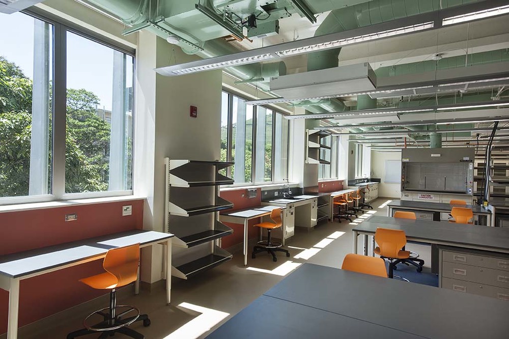 Edmondson Hall Life Sciences Renovation - View 2